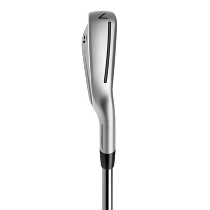 TaylorMade P790 Golf Iron Set